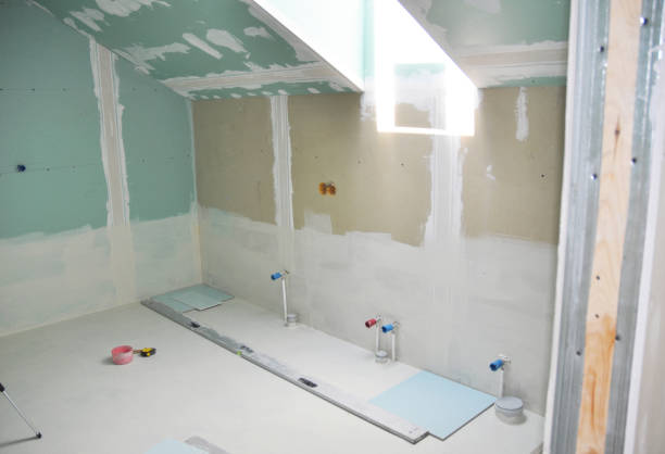 Reliable Cross Plains, TX Mold Removal Solutions