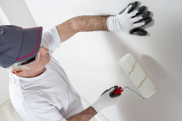 Mold Odor Removal Services in Cross Plains, TX