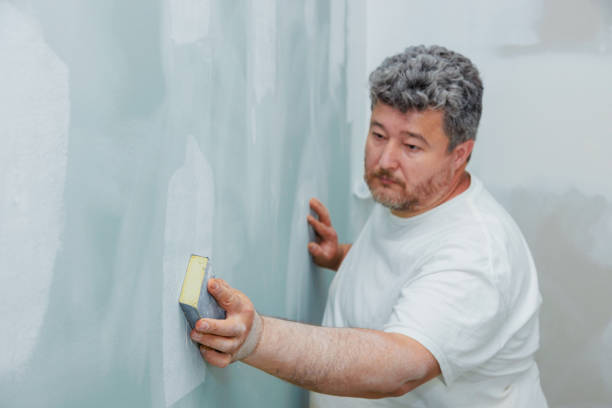 Mold Documentation for Insurance Claims in Cross Plains, TX